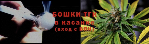 гидра Армянск