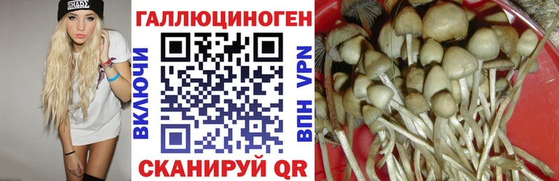 Псилоцибиновые грибы MAGIC MUSHROOMS  Светлоград 